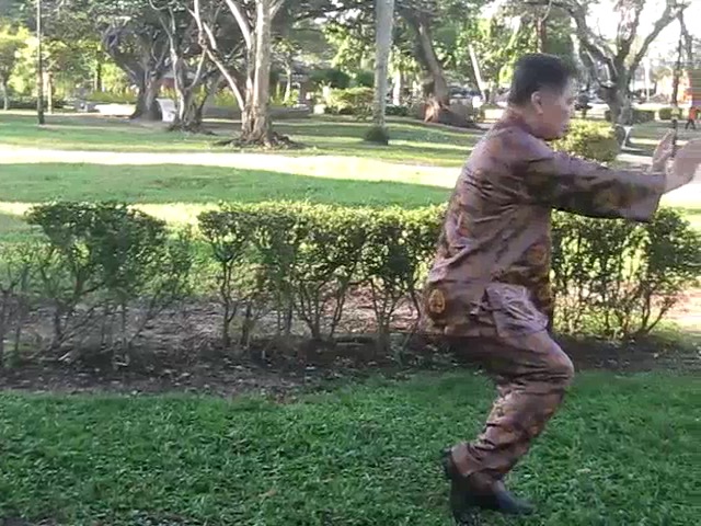 Sun Style Taijiquan